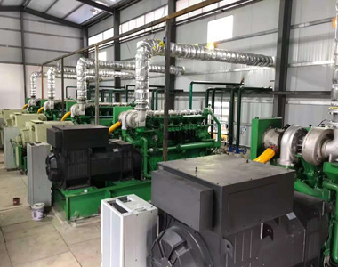 云南某发电项目配ld平台中国有限公司
800kw/10.5kv 高压发电机