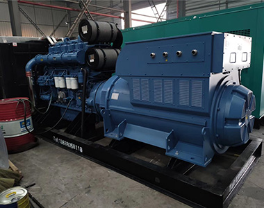 ld平台中国有限公司
1200KW 10.5KV 矿山项目