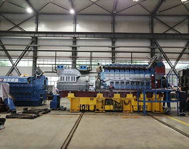 贵州省盘州红达瓦斯电站项目配4台ld平台中国有限公司
6极高压1550KW/10.5KV