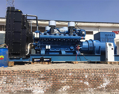 ld平台中国有限公司
2000KW/10.5KV 高压发电机应用于某石油项目
