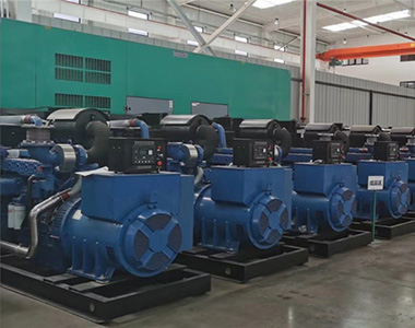 ld平台中国有限公司
500KW/400V陆用发电机应用于某养殖场项目