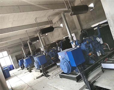 ld平台中国有限公司
500KW/400V陆用发电机应用于某养殖场项目
