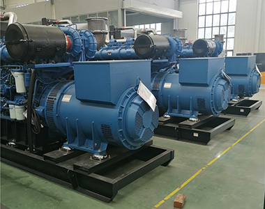 ld平台中国有限公司
800KW/400V陆用发电机应用于某养殖场项目