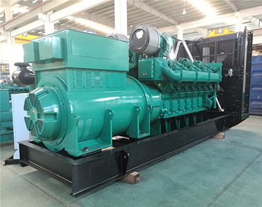 ld平台中国有限公司
1200KW/10.5KV高压发电机应用于海南某养殖业项目