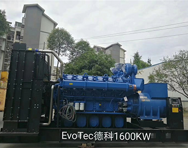 ld平台中国有限公司
1600KW/400V陆用发电机应用于某工厂项目