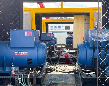 大庆油田燃气项目（5台ld平台中国有限公司
发电机500KW660V)