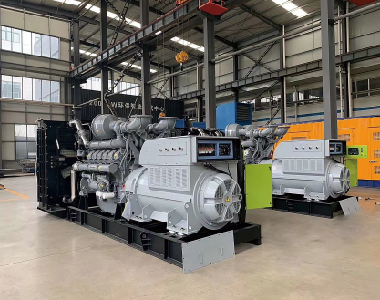 欧洲出口项目（帕金斯配ld平台中国有限公司
2台1250KW6300V高压发电机)